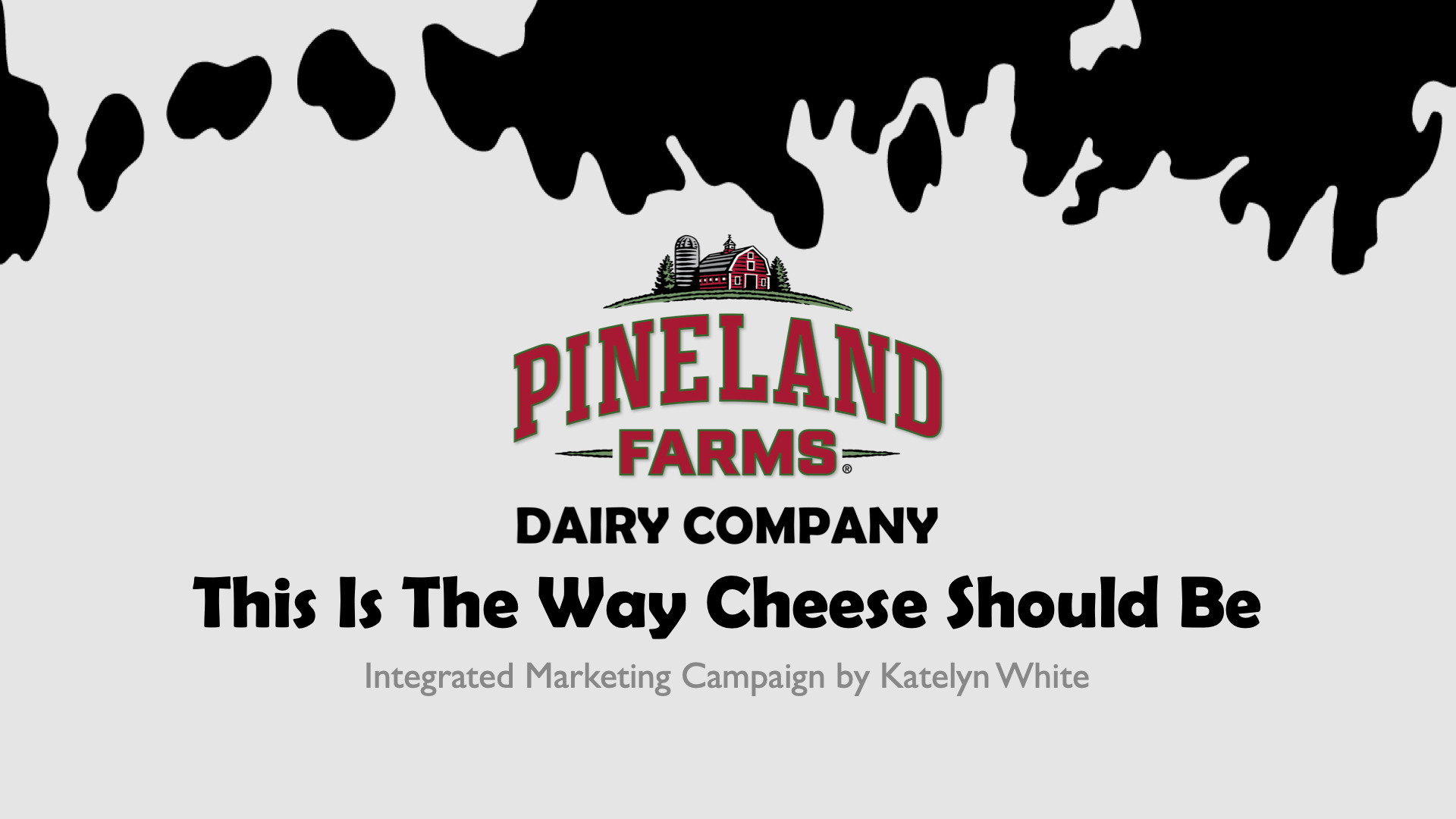 Featured image for “Marketing Strategy – Pineland Farms Dairy Company”
